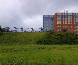 Płonące Ptaki w Koszalinie