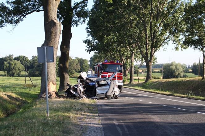 Tragiczny wypadek pod Kruszwicą. Nie żyje 58-letni mężczyzna! [ZDJĘCIA]