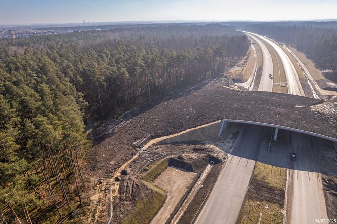 Budowa S1 Oświęcim - Dankowice