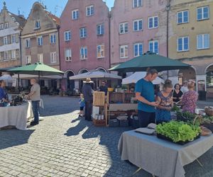 Stare Miasto w Olsztynie tętniło życiem. Zobacz, co działo się w weekend!