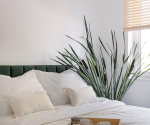 Mieszkanie w jasnych kolorach od KODO