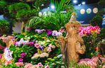 Ponad 100 000 roślin i pięć niezwykłych światów – rusza World Flower Show w Polsce!