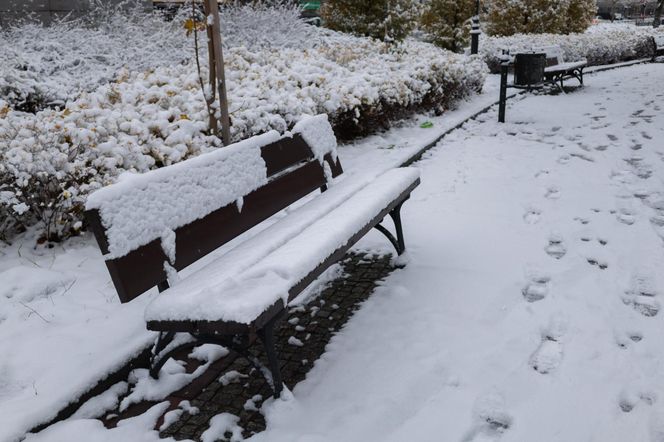 Stolica pod śniegiem 