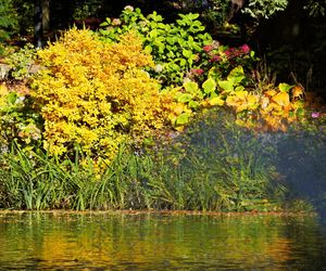 Ogród Botaniczny we Wrocławiu