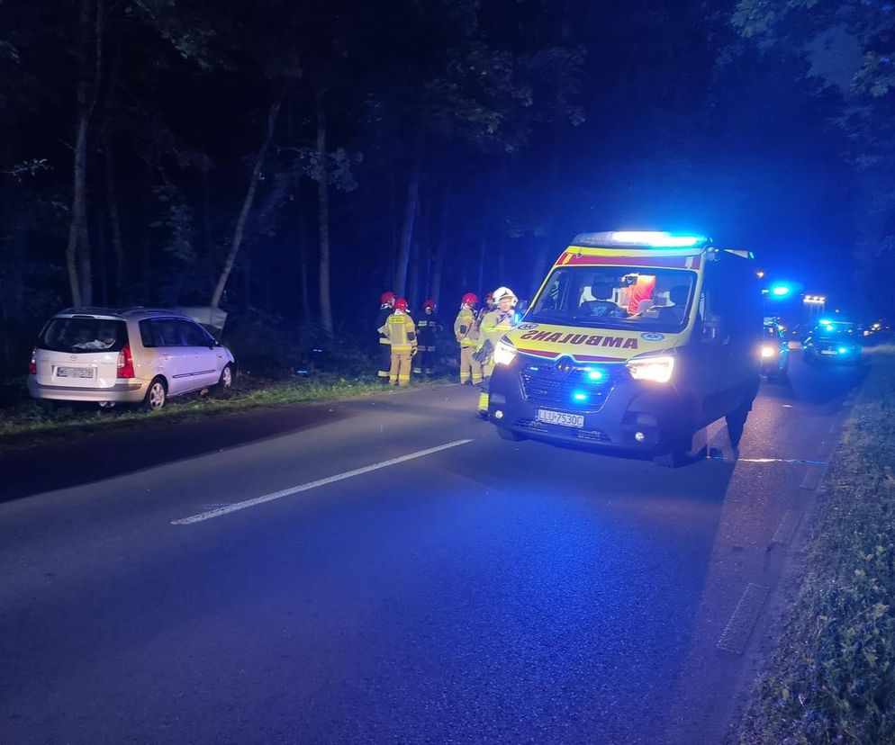 Zderzenie z łosiem w gminie Wojcieszków. Autem jechała kobieta z trójką dzieci!