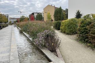 Park im. Wisławy Szymborskiej w Krakowie