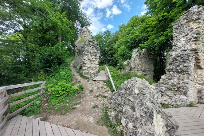 Ruiny zamku Sobień pod Sanokiem