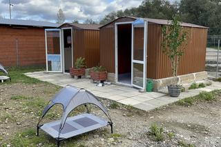 Chatka psiego dziadka w nowosądekcim schronisku dla zwierząt