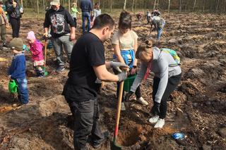 Grudziądzanie posadzili las. Zobacz zdjęcia i posłuchaj relacji 
