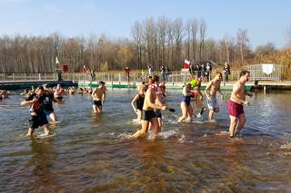 W Sosnowcu morsy świętowały 100-lecie niepodległości