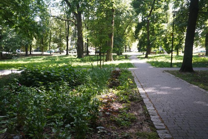 Park Miejski w Sandomierzu
