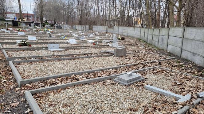 Mysłowice. Zdewastowany cmentarz przy ul. Oświęcimskiej