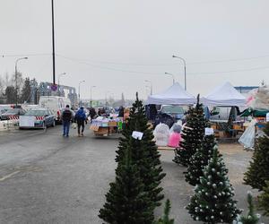 Giełda samochodowa w Łodzi. Przyciąga klientów, ale sprzedawcy nie są zadowoleni