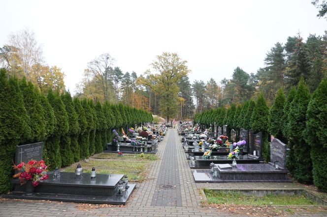 Cmentarz na Miłostowie na kilka dni przed dniem Wszystkich Świętych 