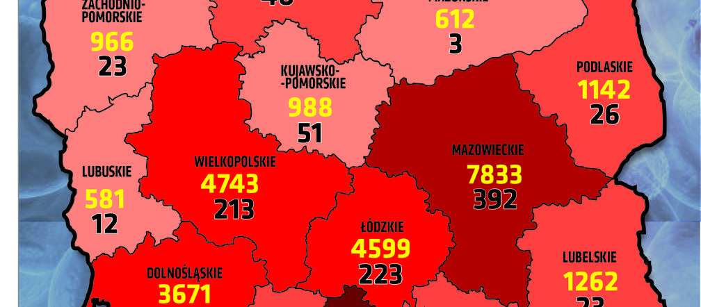 Koronawirus w Polsce. Wykresy i mapy: 16.08.2020