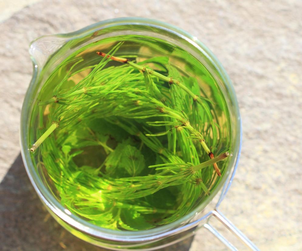 Wrzuć do kubka i zalej gorącą wodą. Podziękujesz sobie, gdy staniesz przed lustrem