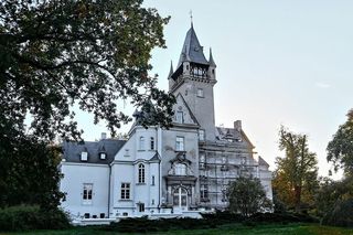 Pałac w Witosławiu