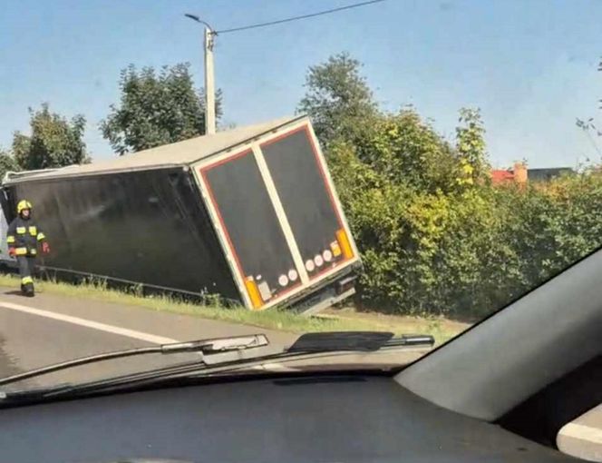  Kierowcę ciężarówki użądliła pszczoła, uderzył w przepust.