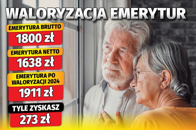 waloryzacja 2024 (12 proc.) + waloryzacja kwotowa