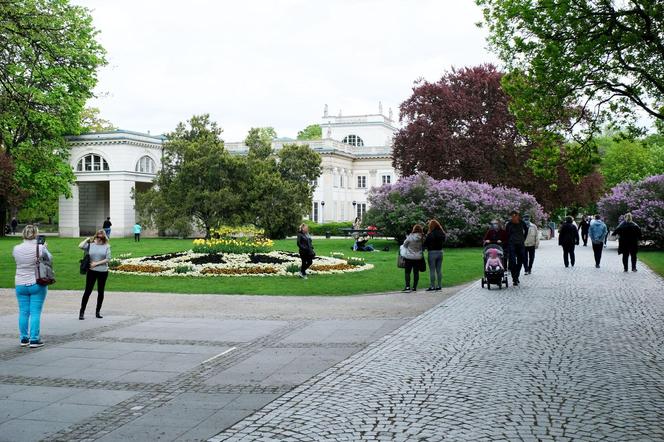 Łazienki Królewskie po burzy. Bardzo smutny widok. „Najstarsi pracownicy nie pamiętają takich zniszczeń”