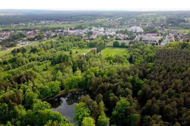 Miejsce 2 miejscowość Rakszawa  