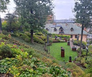 Ogród za kościołem św. Józefa w Krakowie