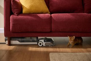 11. urodziny Roborock