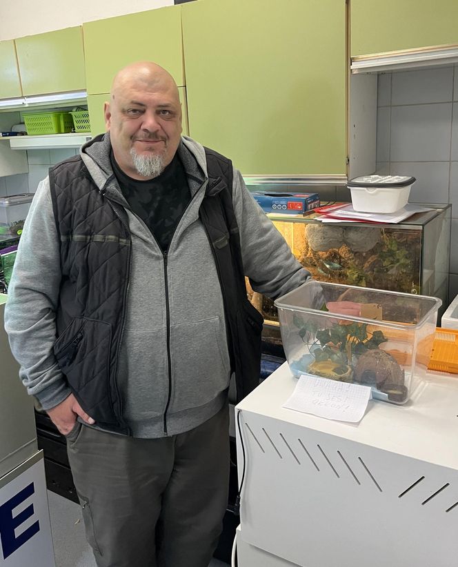 W opakowaniu rukoli znaleziono żywego gekona