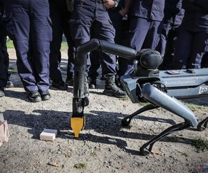 Ma cztery łapy, stalowe serce i właśnie podał łapę policjantowi. „Robopies” nowym hitem w służbach