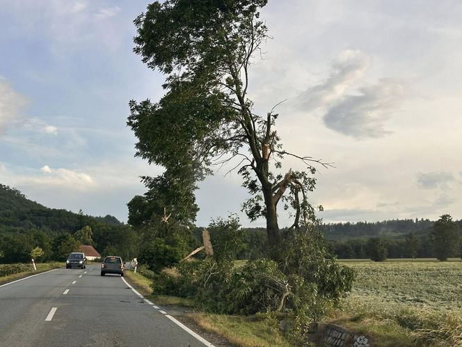 Dolnośląskie. Burze wyrządziły wiele szkód w regionie. Tak wyglądają okolice Jawora [ZDJĘCIA].