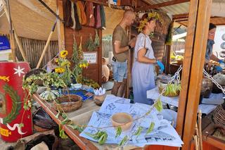 Odwiedziliśmy Dożynki Województwa Pomorskiego 2024