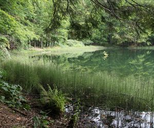 Jeziorka Duszatyńskie