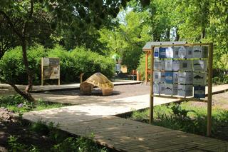 Plac zabaw w ZOO