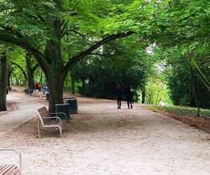 Usterki na Alei Fałata
