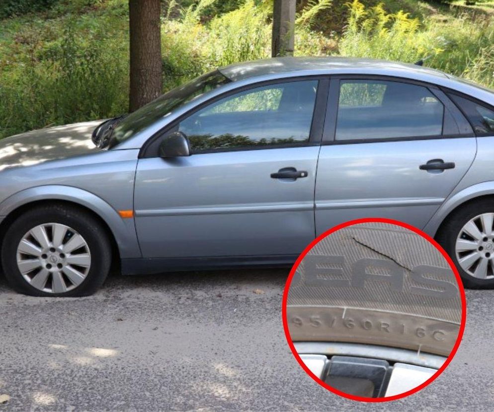 Policja złapała seryjnego wandala! Zniszczył auta i okradł działkowca