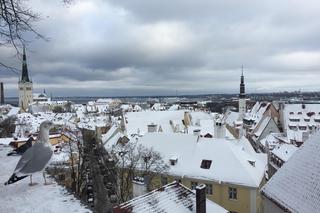 6. Tallin