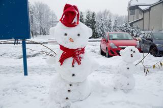 Kiedy spadnie śnieg? Zima w Polsce zaatakuje w PAŹDZIERNIKU?! [POGODA]