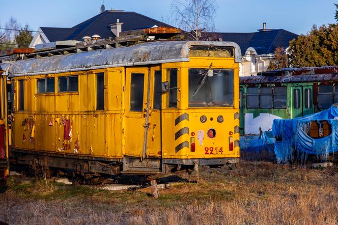 Zobacz kolekcję starych tramwajów w prywatnym ogrodzie - zdjęcia. Wagony stoją na działce w Warszawie