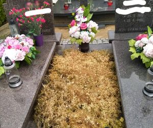 Lutynia pod Pod Wrocławiem. Małżeństwo ofiarą ataków sąsiadów za poparcie Trzaskowskiego [ZDJĘCIA]