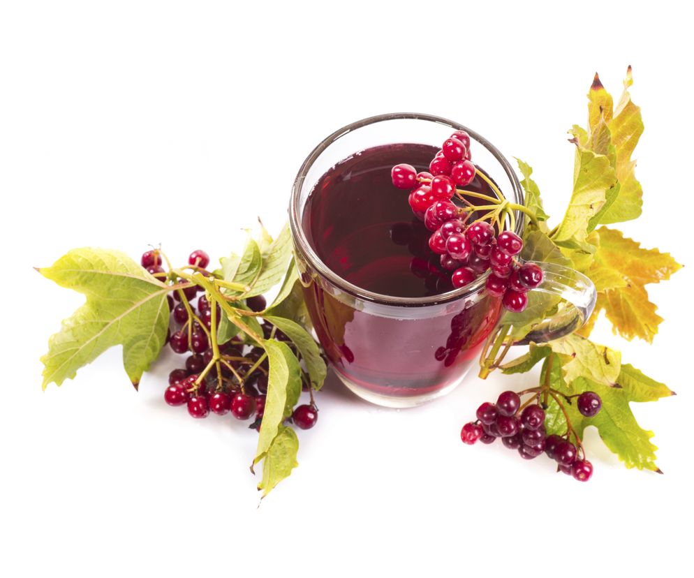 Nalewka z kaliny lub tarniny