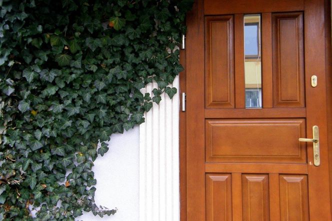 Ten detal w drzwiach może przyciągnąć włamywacza. Jest niepozorny