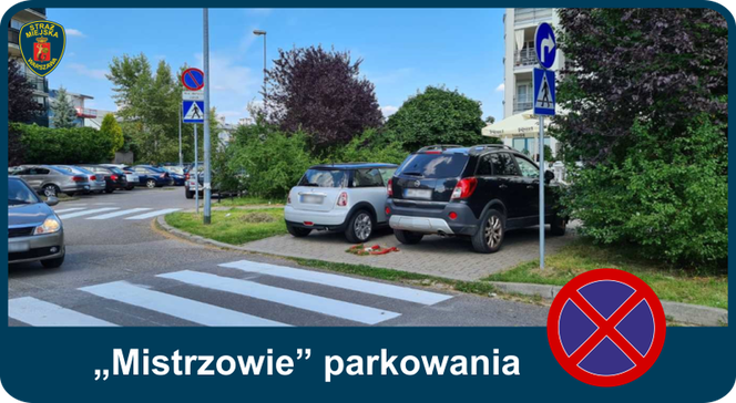 Mistrzowie parkowania. Tak kierowcy parkują w Warszawie