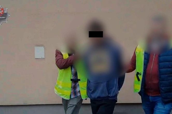 Horror w lesie pod Puławami. Psy łapały się w stalowe wnyki