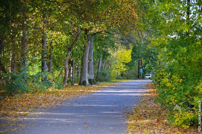 Zobacz jak wygląda największy park miejski w Polsce