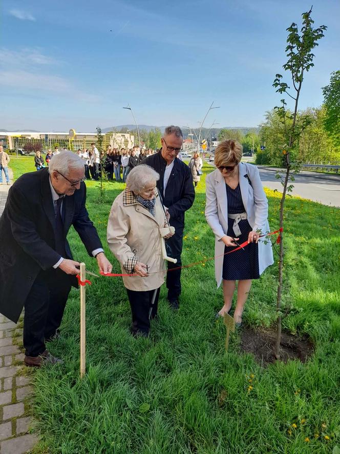 Otwarcie Alei Sprawiedliwych w Nowym Sączu