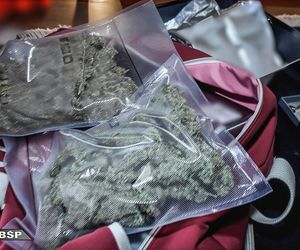 Groźny gang narkotykowy rozbity na Mazowszu. Dziennie sprzedawali nawet kilkaset działek