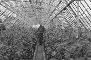 QUIZ PRL. Tych profesji już nie ma. Tylko dla znawców historii PRL!