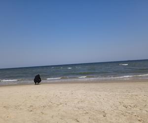 Mieszkańcy korzystają ze słonecznej pogody. Na plaży w Jelitkowie widać już pierwszych spacerowiczów!