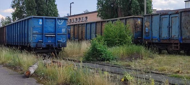 Cmentarzysko pociągów i wagonów na Kluczykach