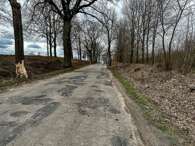 Tragiczny wypadek pod Dobrzykami. Mateusz zginął 400 metrów od domu